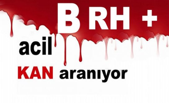 B RH + Kan Aranıyor