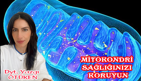 Mitokondri sağlığınızı koruyun