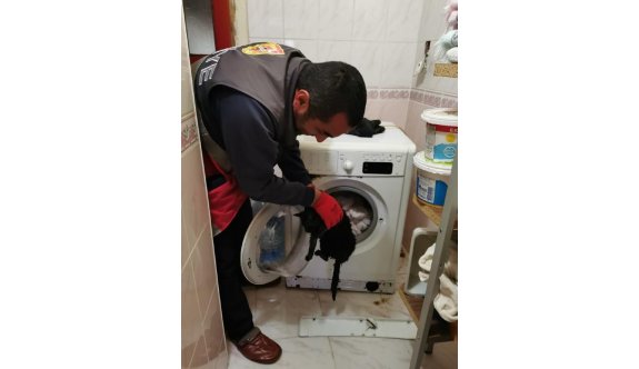 Yorganla birlikte çamaşır makinesine atılan kedi son anda kurtarıldı