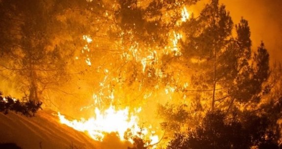 2021 yılında toplam 882 yangın meydana geldi