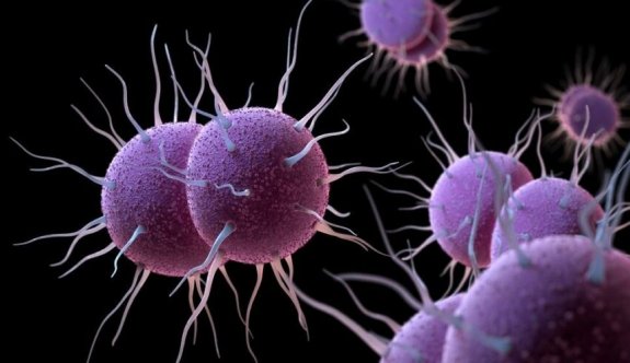 Cinsel yolla bulaşan antibiyotiğe dayanıklı bakteri yayılıyor