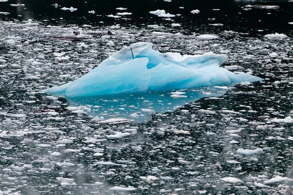Antarktika’daki deniz buzu seviyeleri tarihin en düşük seviyesine düştü