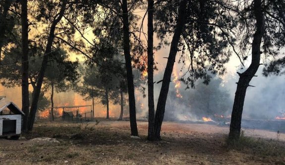 Geçitköy’deki yangının bilançosu ağır