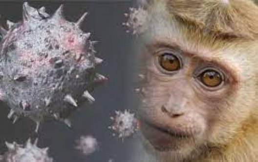 Maymun çiçeği virüsüyle ilgili inanılmaz iddia