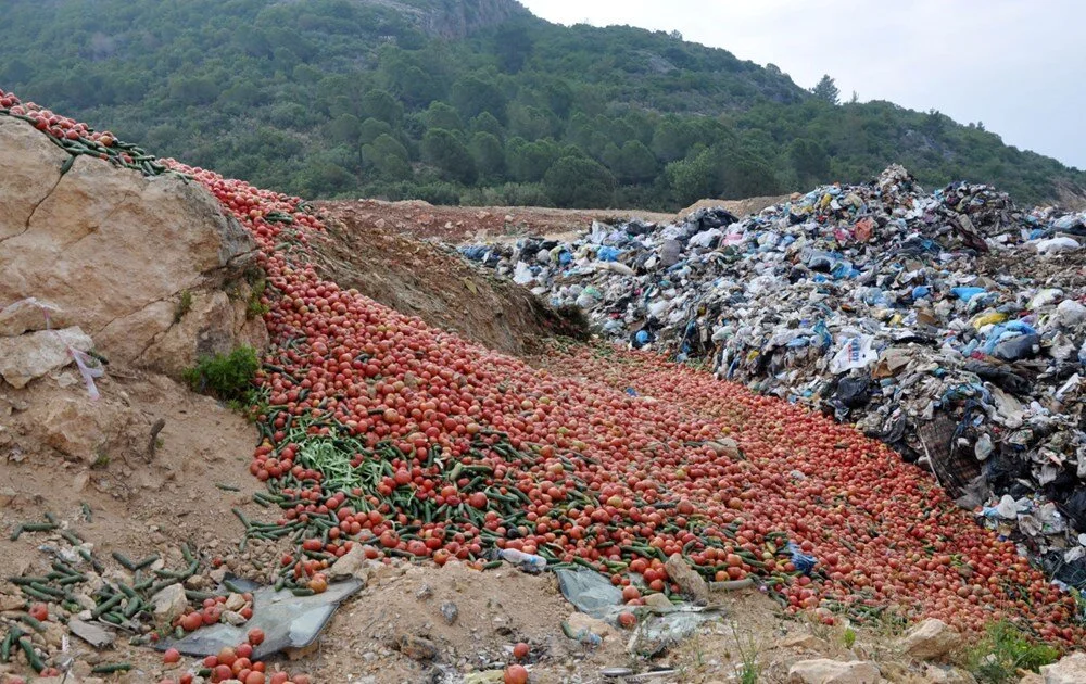 Antalya'da kilolarca sebze çöpe döküldü