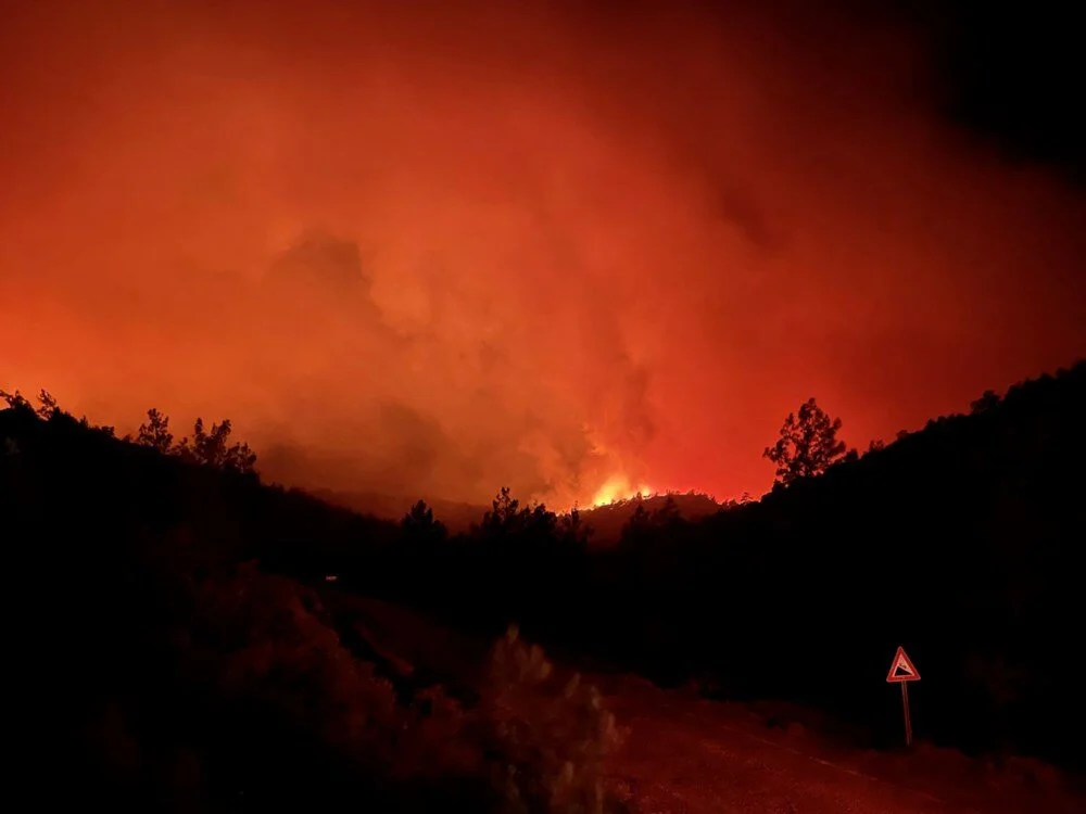 Marmaris'te orman yangını: Büyük ölçüde kontrol altına alındı