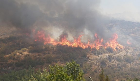 Mersinlik Bölgesindeki yangın yeniden şiddetini arttırdı