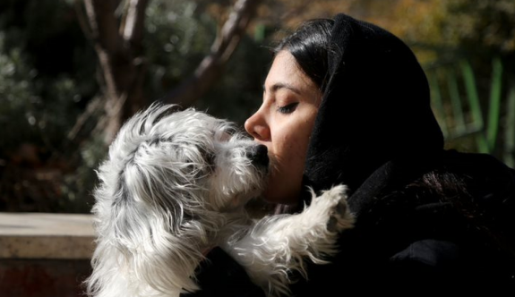 "Evcil hayvan sahibi olmak İran'da 'hapse girme nedeni olabilir'