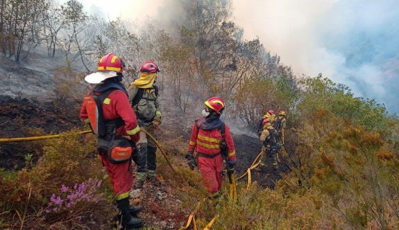 Fransa ve İspanya’da orman yangınlarıyla mücadele devam ediyor