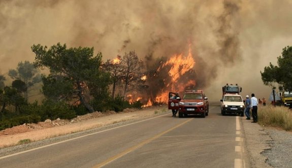 Orman Dairesi, yangın önlemlerini artırdı, uyarılar yaptı