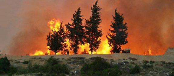 Orman Dairesi yangın riskine karşı uyardı