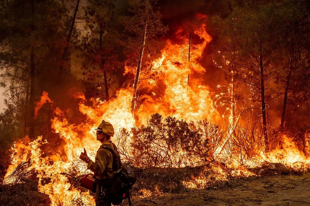 California'da orman yangını: 11 bini aşkın kişi tahliye edildi