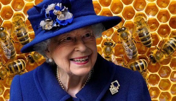 Kraliçe Elizabeth’in ölümü arılara da söylendi