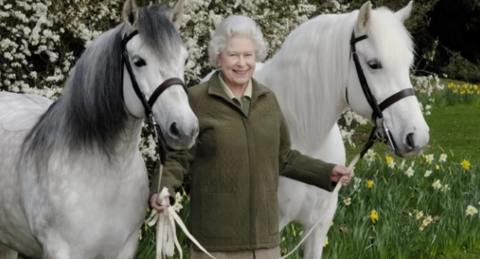 Kral 3. Charles, Kraliçe Elizabeth’in atlarını satışa çıkardı