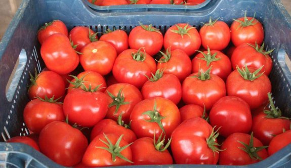 İthal armut ve yerli domateste limit üstü bitki koruma ürünü tespit edildi