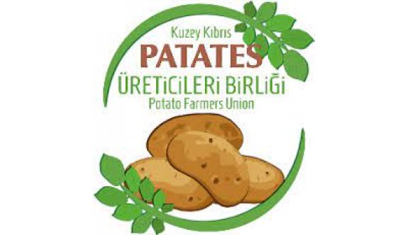 Kıbrıs Türk Patates Üreticileri Birliği'nden ithal tohumluk patates konusunda açıklama