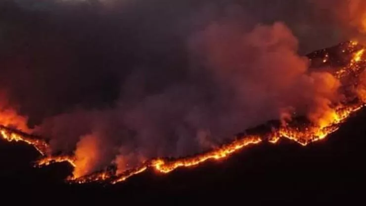 Meksika’da orman yangınları nedeniyle acil durum ilan edildi