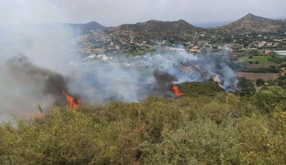 Yeşilırmak bölgesinde yangın 7-8 bölgede dağınık şekilde sürüyor
