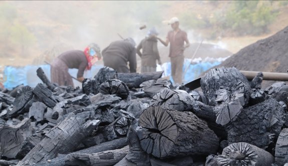 Bir ithalatçıya ait mangal kömürünün ülkeye girişine onay verilmedi