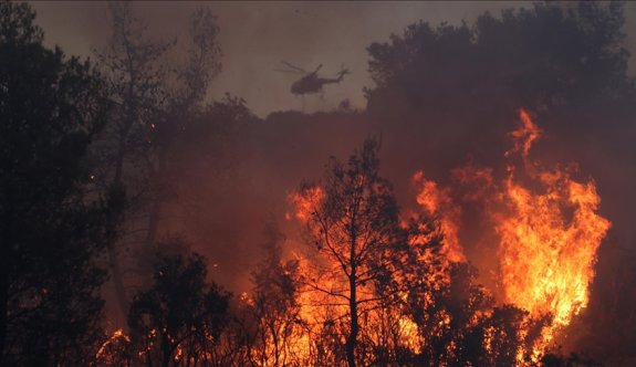 Rodos’tan sonra Korfu Adası'nda da orman yangını çıktı