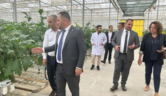 Tarım ve Doğal Kaynaklar Bakanı Çavuş, Geentech serasında incelemelerde bulundu