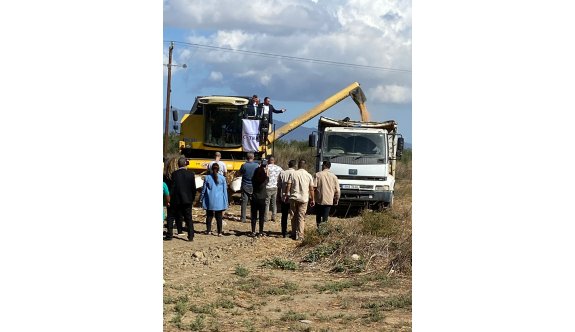TİKA ile Devlet Üretme Çiftlikleri “Yemlik Dane Mısır Üretim Projesi” kapsamında hasat yapıldı