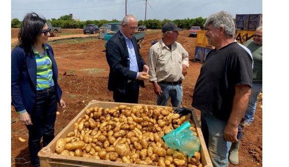 Sonbahar patates ekimi yapılan araziler için son beyan tarihi 16 Ekim