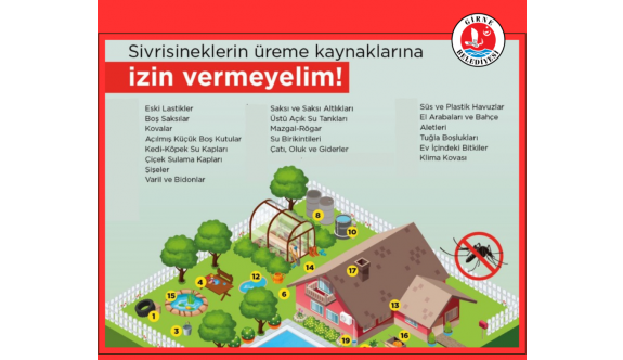 Girne Belediyesi, Asya Kaplan Sivrisineğiyle mücadeleye devam ediyor
