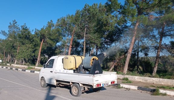 Mehmetçik Büyükkonuk Belediyesi çam kese böceğiyle biyolojik mücadele başlattı