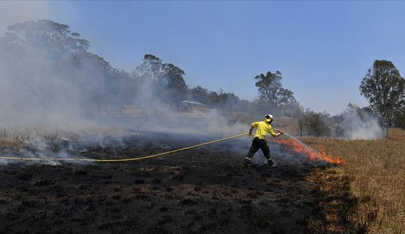 Avustralya'da "felaket" seviyesindeki orman yangınları