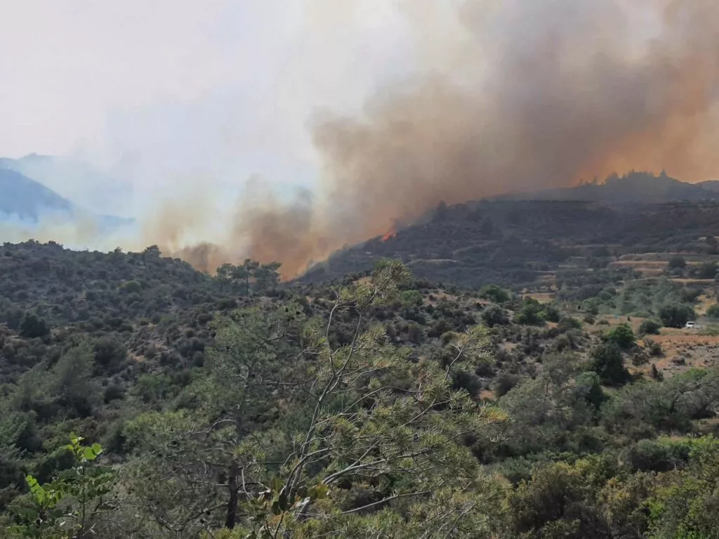 Limasol’da devlet ormanında büyük yangın
