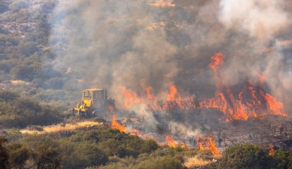 Güney'de yılın ikinci büyük yangınında 6 kilometrekareden fazla alanın yandı