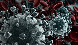 Koronavirüs Varyantı XBB Hakkında Neler Biliniyor?