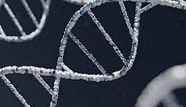 DNA tespiti için çığır açacak çalışma