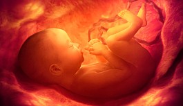 YDÜ'nün anne karnındaki bebeğin gelişim anomalilerini saptayacak tarama testi projesi ilerliyor