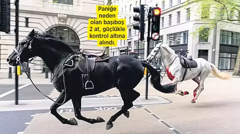 Firar eden İngiliz atları Londra sokaklarını birbirine kattılar