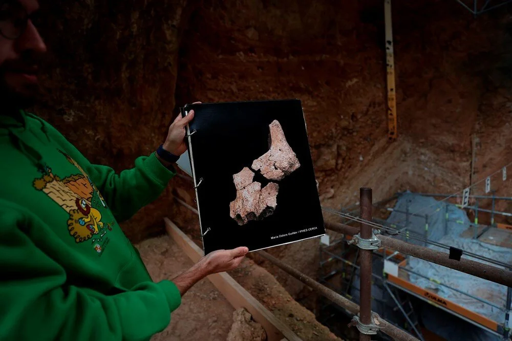 Avrupa'nın en eski insan fosili bulundu:...