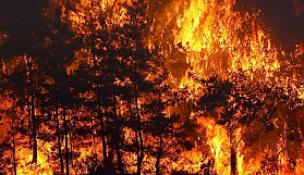 Orman yangınına neden olmanın cezası 100 asgari ücret ve 15 yıl hapis cezası…